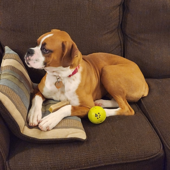 Meet your Posher, Sally - Picture 4 of 10